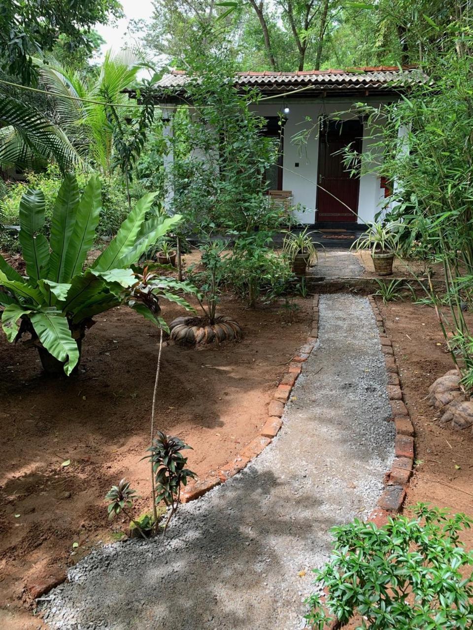 Manju Homestay سيغيرِيا المظهر الخارجي الصورة