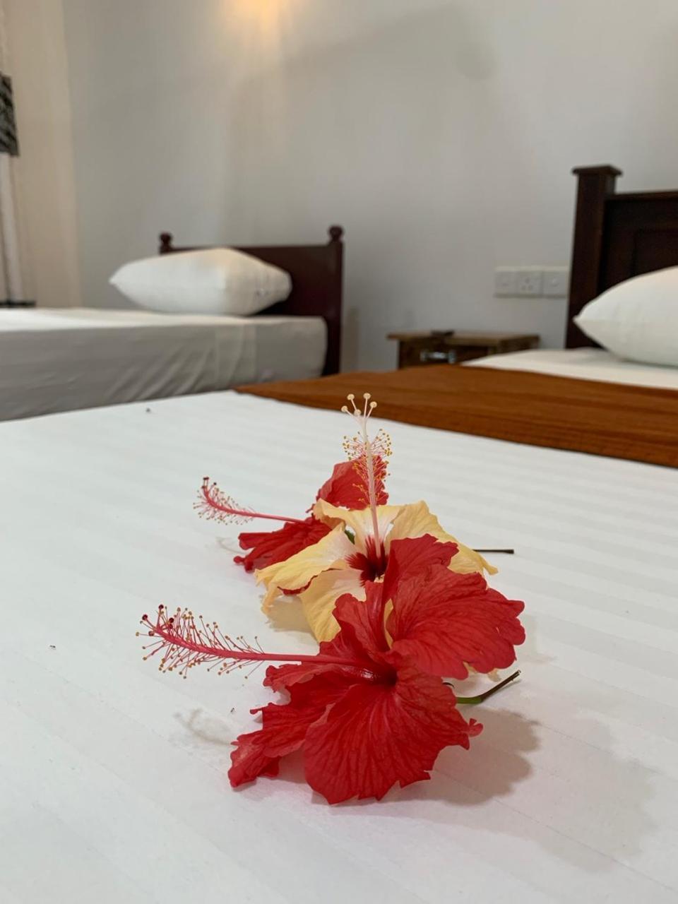 Manju Homestay سيغيرِيا المظهر الخارجي الصورة