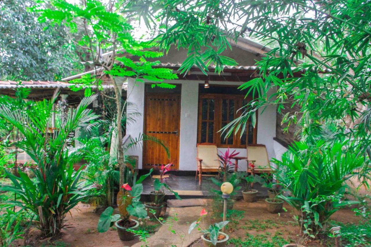 Manju Homestay سيغيرِيا المظهر الخارجي الصورة