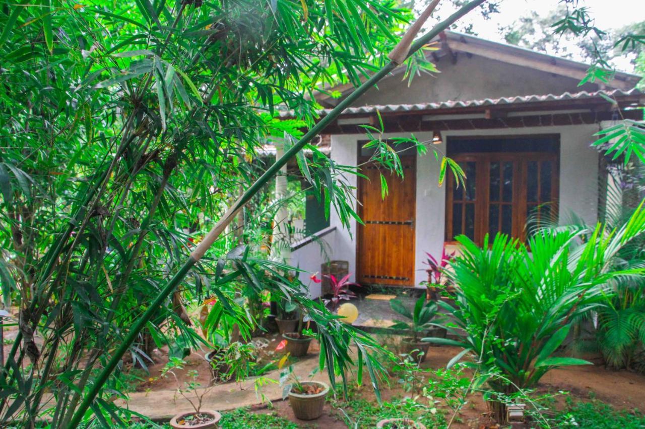 Manju Homestay سيغيرِيا المظهر الخارجي الصورة